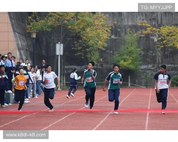 凯发FB体育最新赛事资讯与分析：帮助用户做出科学的投注决策